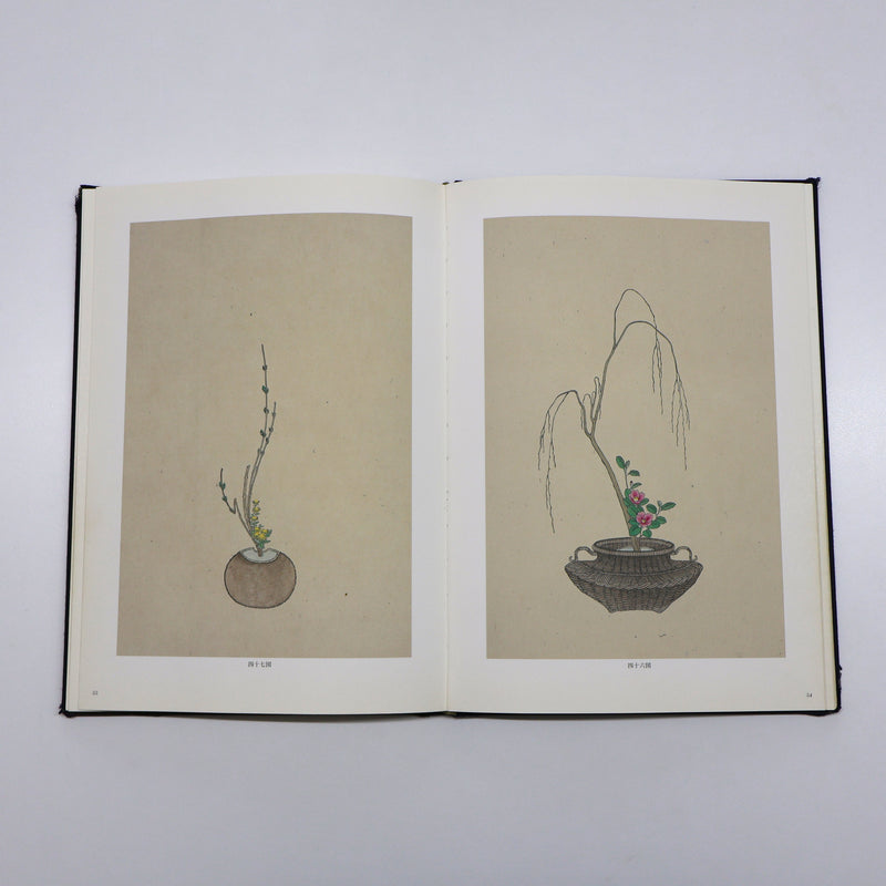 池坊專好名作集與插花百規一加一特賣組合包
