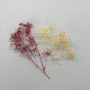 Mini Baby's Breath (lavender)