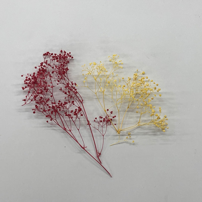 Mini Baby's Breath (wine red)