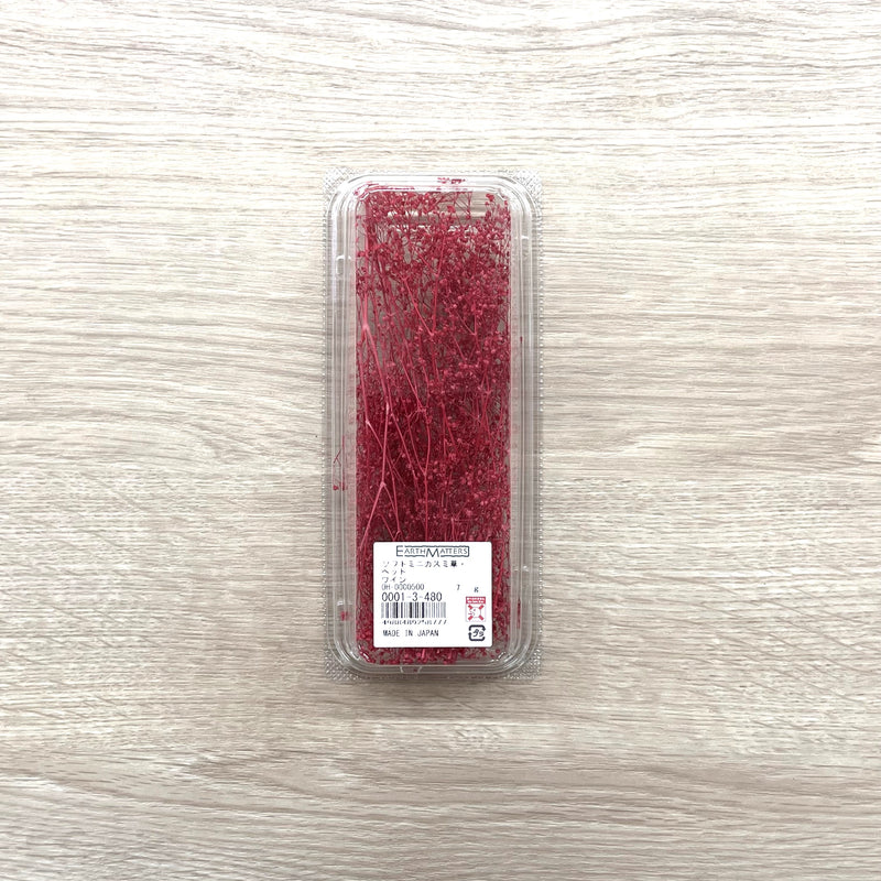 Mini Baby's Breath (wine red)