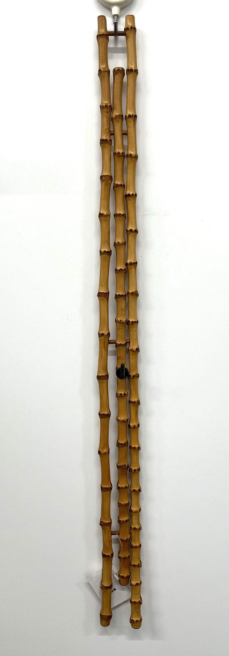 Kochosai:18992 Bamboo Suihatsu