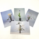 Ikenobo Post Card Set (Set of 18)