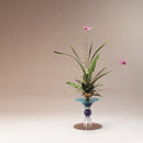 玻璃・玫莉  T-49