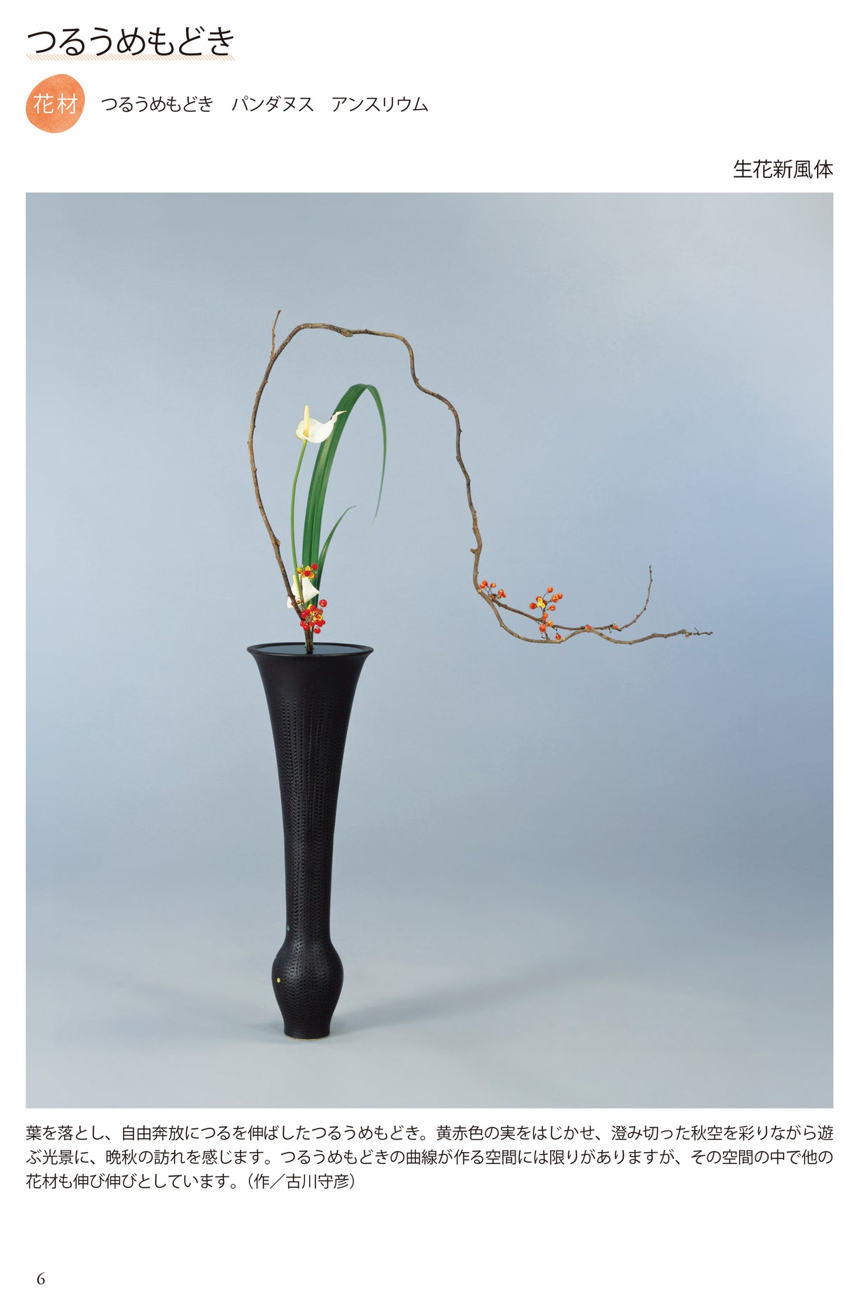 Kisetsu no Shimputai (shimputai works in every season) - Autumn