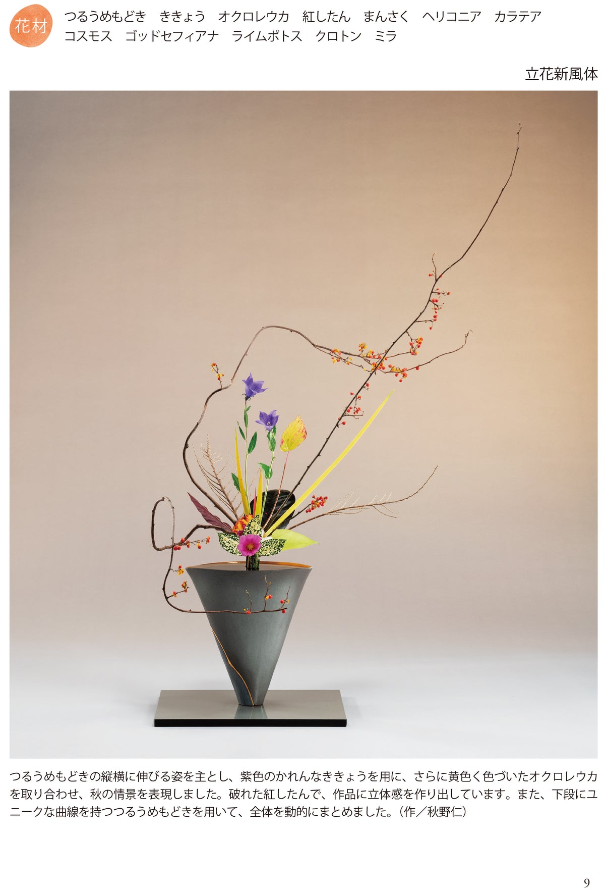 【レア品】波花　№6　NAMIHANA レア品】波花 №6 NAMIHANA カード検索 ｜ Z/X - Zillions of enemy X