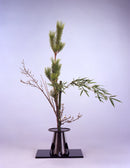 Ogencho Senmyo-gonomi (high grade)