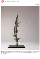 Kisetsu no Shimputai (shimputai works in every season) - Spring