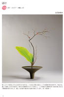 Kisetsu no Shimputai (shimputai works in every season) - Spring