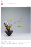 Kisetsu no Shimputai (shimputai works in every season) - Spring