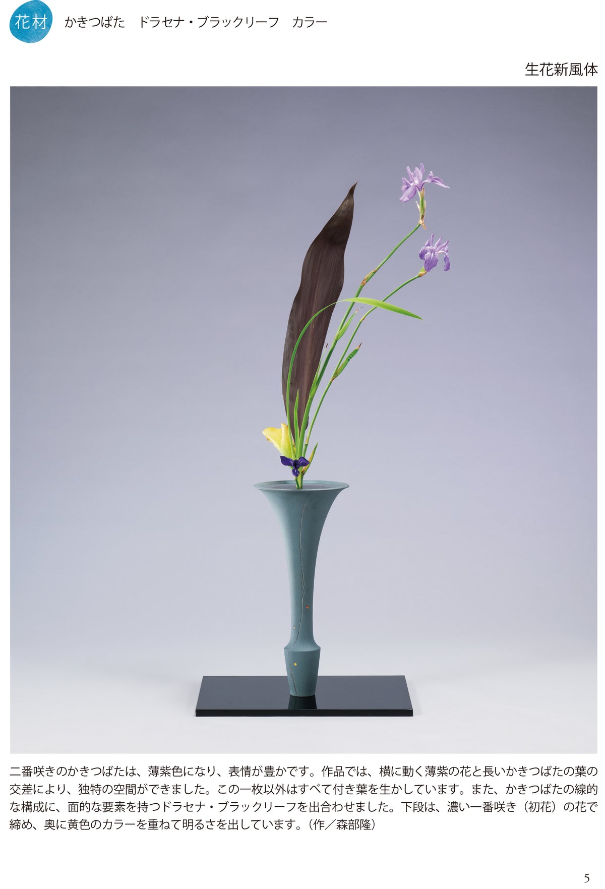 季節的新風體夏