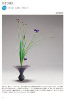 Kisetsu no Shimputai (shimputai works in every season) - Summer