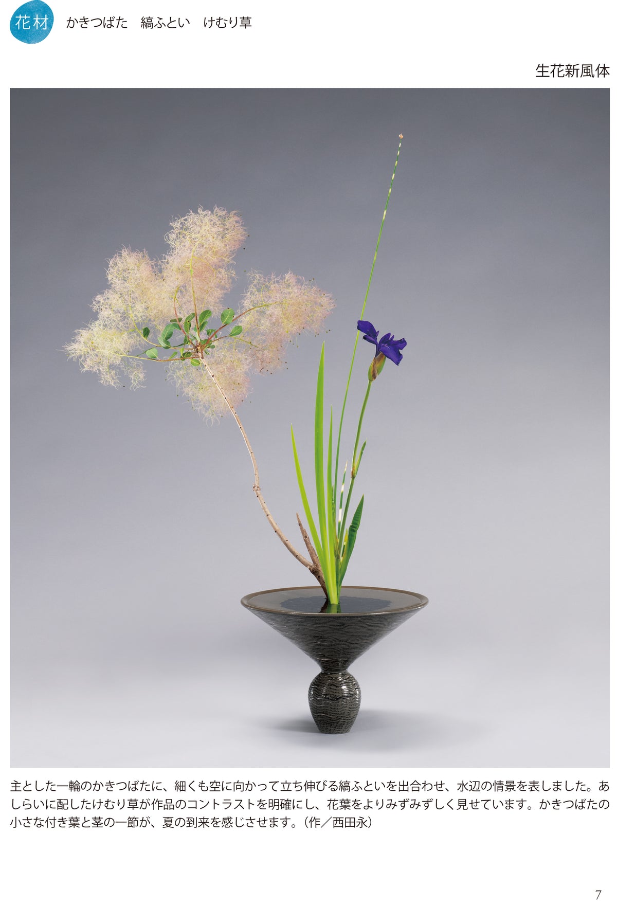 【レア品】波花　№6　NAMIHANA レア品】波花 №6 NAMIHANA H-2138_naiyou.jpg?v=1738578584