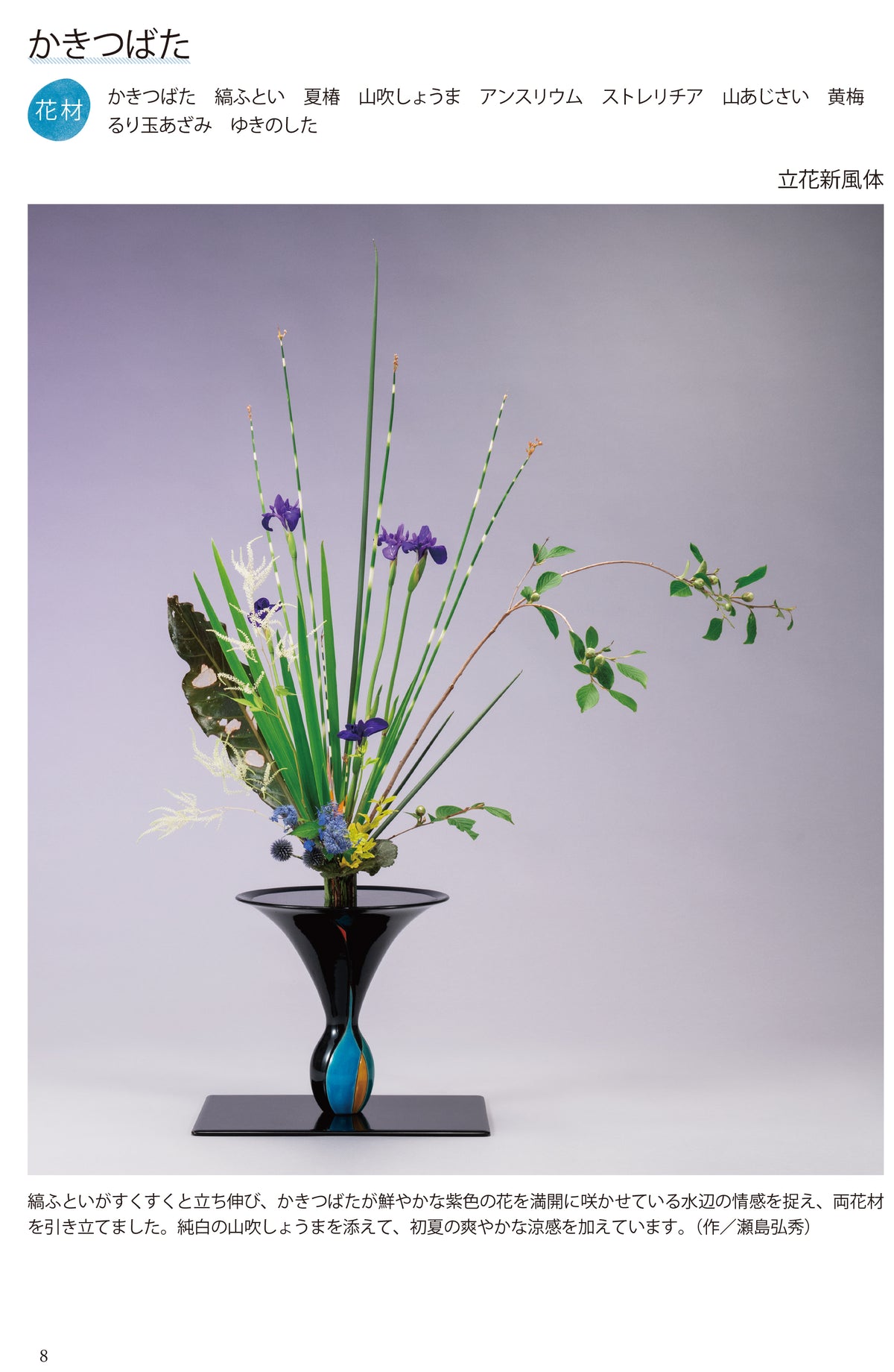 季節的新風體夏