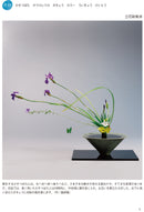 Kisetsu no Shimputai (shimputai works in every season) - Summer