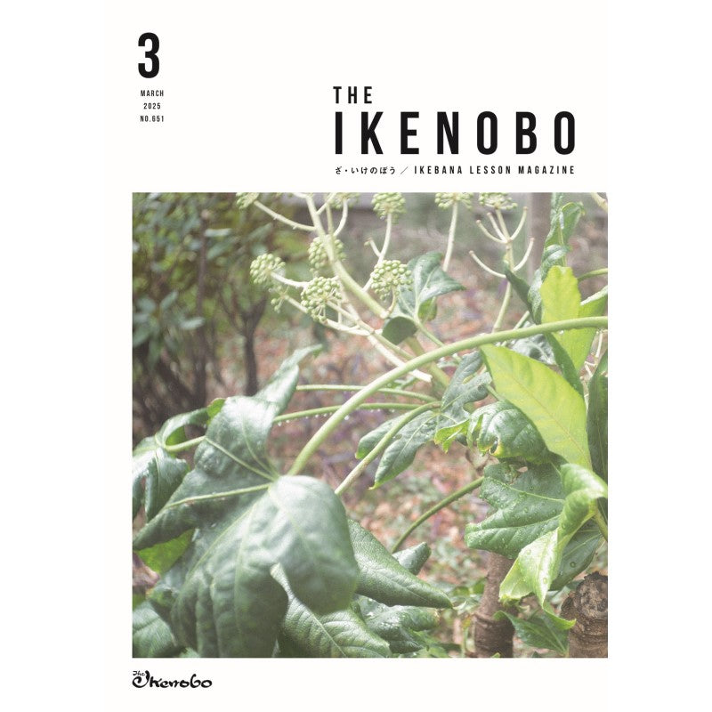 The Ikenobo 2025 March