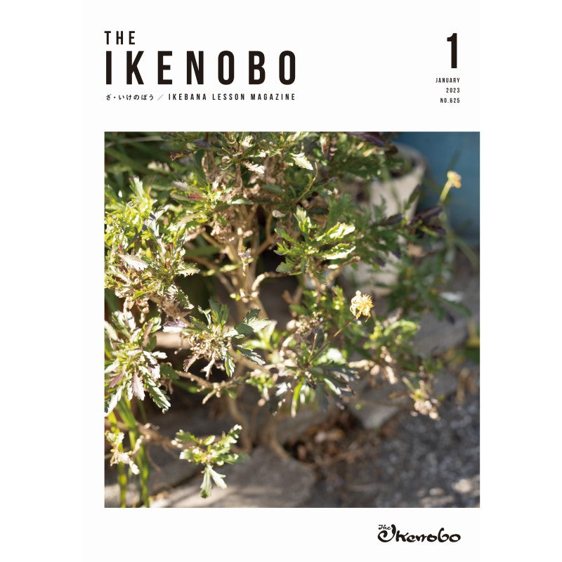 The Ikenobo 2023 January