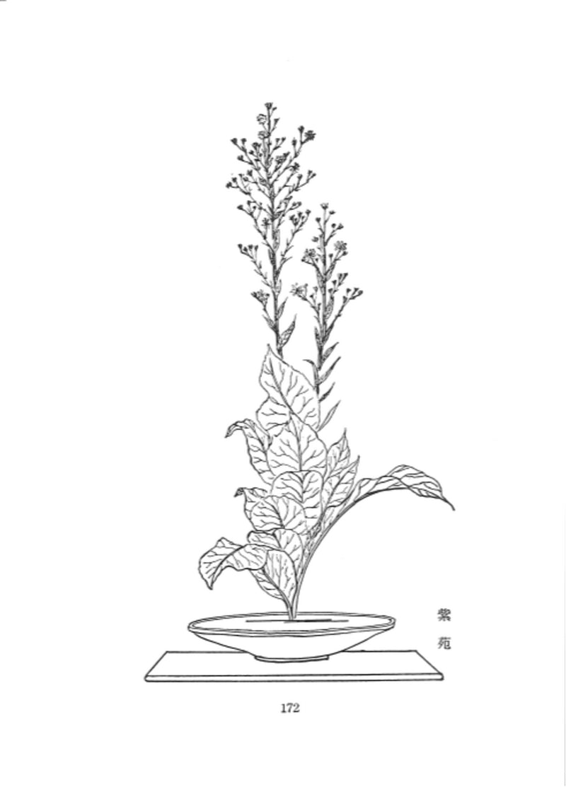 Ikenobo Shoka no Manabikata vol. 2 Hamono (leafy plants)