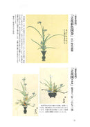 Shoka, Rikka Kakitsubata Notebook