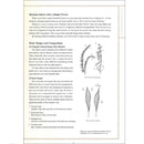 The Joy of Ikenobo Ikebana