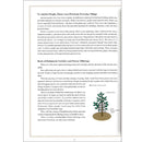 The Joy of Ikenobo Ikebana