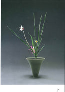 Ikenobo Sen'ei Shimputai Soron (General Theory on Shimputai)