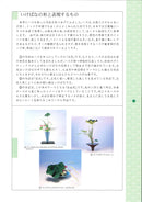 Hana no Toki Text (Time of Flower)