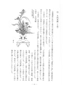 Ikenobo Rikka no Manabikata Vol. 3