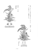 Ikenobo Rikka no Manabikata Vol. 3