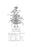 Ikenobo Rikka Warigeiko