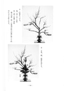 Ikenobo Rikka Warigeiko