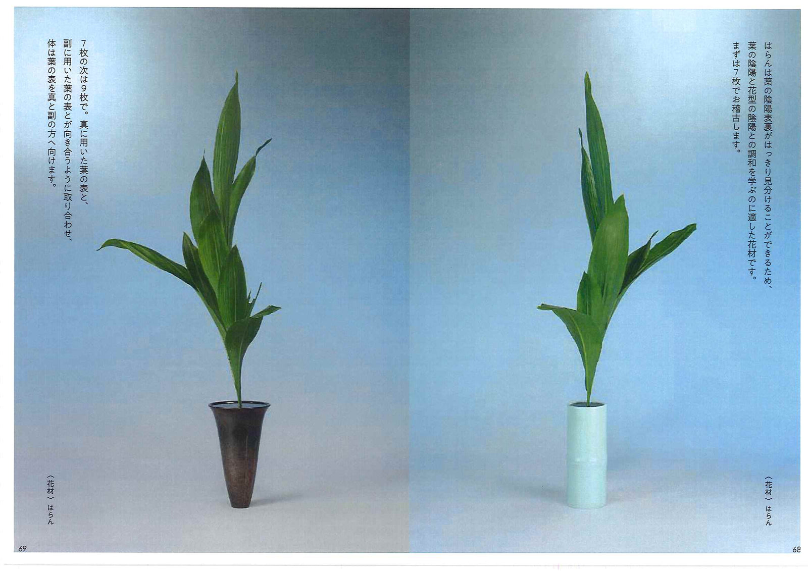Ikebana Lesson Supplement Shoka Plus
