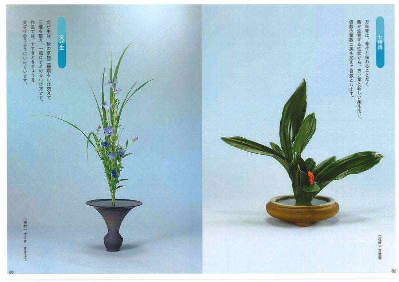 Ikebana Lesson Supplement -Shoka Plus-
