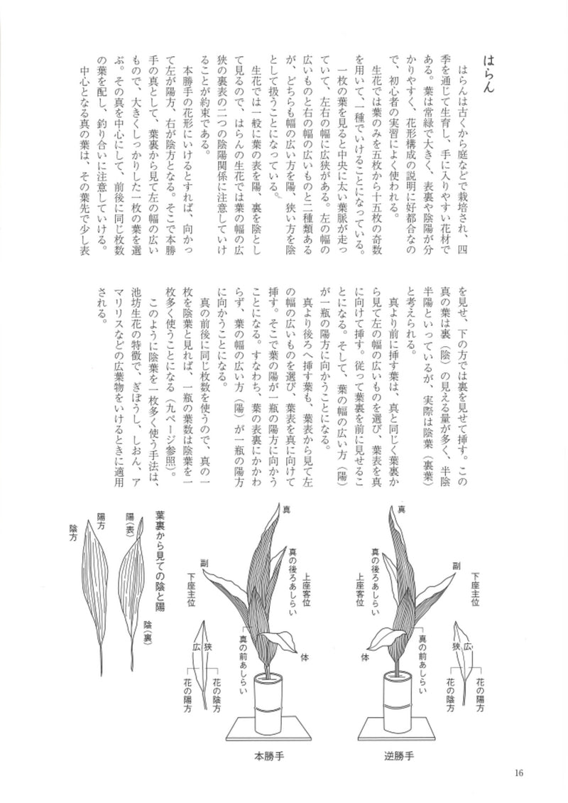 Ikenobo Ikebana Textbook Vol. 1 Shoka I (Japanese)