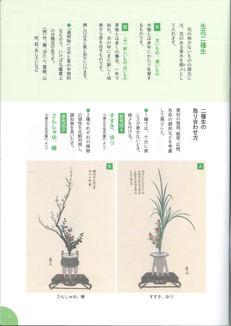 Ikenobo ABC Vol.2 Shoka Nishuike / Sanshuike