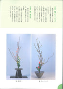 Ikenobo ABC Vol.2 Shoka Nishuike / Sanshuike