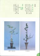 Ikenobo ABC Vol.2 Shoka Nishuike / Sanshuike