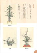 池坊ABC  6  立花 (2)篇