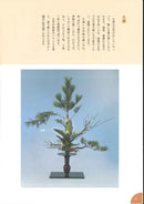 池坊ABC  6  立花 (2)篇