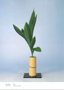 Ikenobo Ikebana Basic Course (Japanese Edition)