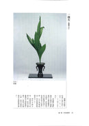 More to Learn Shoka (Chinese)