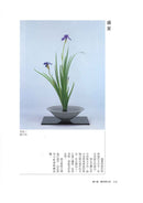 More to Learn Shoka (Chinese)