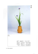 More to Learn Shoka (Chinese)