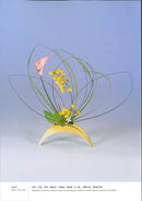 Ikenobo Ikebana Basic Course (Chinese)