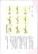 Ikenobo Ikebana Basic Course (Chinese)
