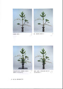 More to Learn RIKKA (Chinese)