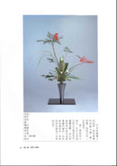 More to Learn RIKKA (Chinese)