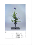 More to Learn RIKKA (Chinese)