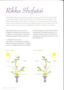 Perfect Imperfection