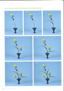 Perfect Imperfection