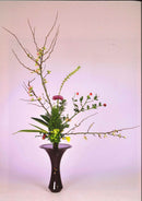 Perfect Imperfection